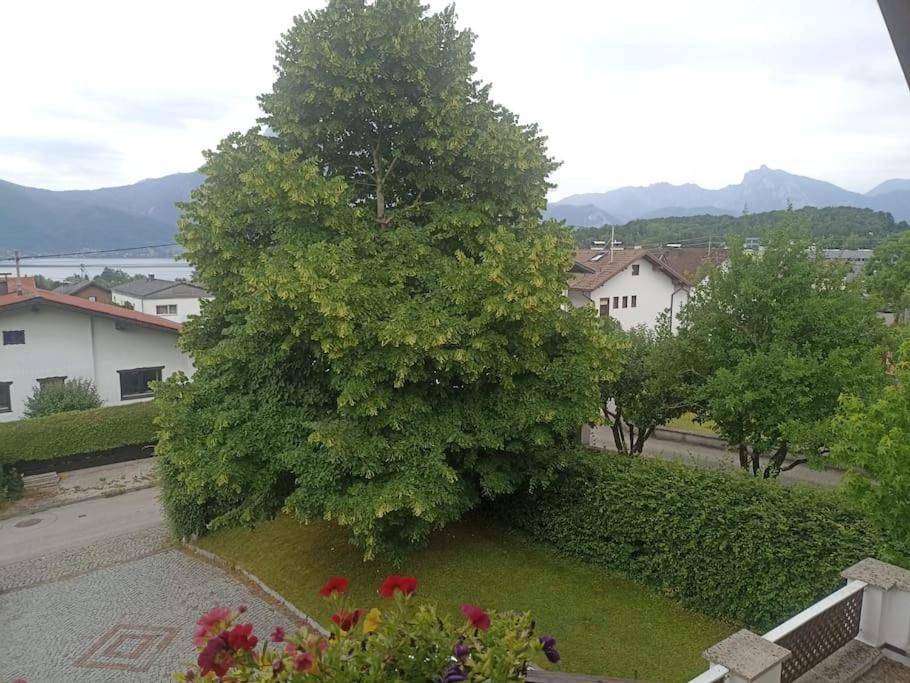 Ferienwohnung Guetl Am Weg Altmünster Zewnętrze zdjęcie